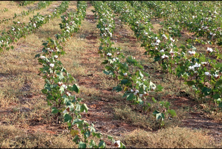 Aprovação da renovação do Projeto REDE-FAPEMIG