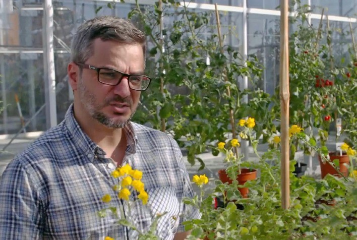 Pesquisa de professor da UFV é um dos destaques de reportagem publicada pela Nature