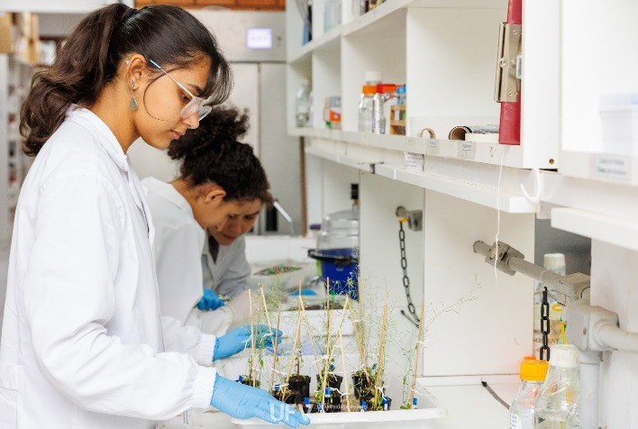 UFV sedia Instituto Nacional de Ciência e Tecnologia em Fisiologia de Plantas em Condições de Estresse