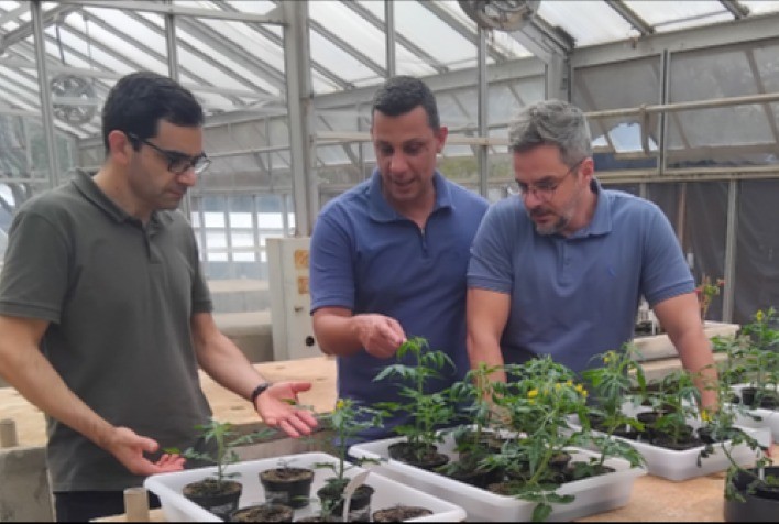 Visita técnica fortalece parcerias em Fisiologia do Estresse em Plantas entre UFV, Embrapa e UFMG