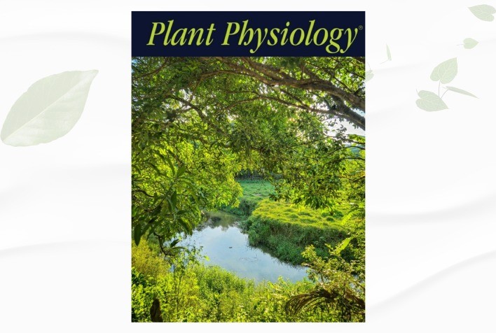Pesquisadores do INCT lideram edição especial da revista internacional Plant Physiology sobre Ecofisiologia Vegetal
