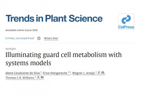 Capa do artigo: Illuminating guard cell metabolism with systems models