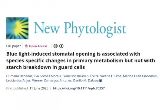 Capa do artigo: Blue light-induced stomatal opening is associated with species-specific changes in primary metabolism but not with starch breakdown in guard cells
