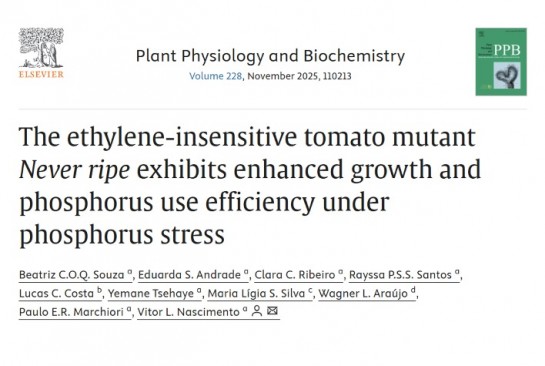 Capa do artigo: The ethylene-insensitive tomato mutant Never ripe exhibits enhanced growth and phosphorus use efficiency under phosphorus stress