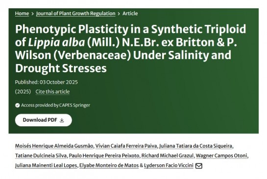 Capa do artigo: Pesquisa conduzida por membros do INCT e da Rede Mineira, com pesquisadores da UFV e da UFJF, revela avanços sobre a plasticidade fenotípica de um triploide sintético de Lippia alba frente a estresses de salinidade e seca