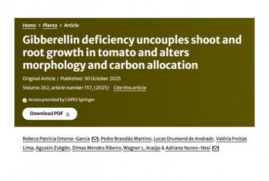 Capa do artigo: Gibberellin deficiency uncouples shoot and root growth in tomato and alters morphology and carbon allocation